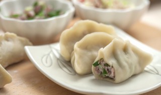 狗能吃韭菜鸡蛋饺子吗 狗狗可以吃韭菜鸡蛋饺子