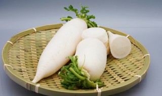 萝卜煮多久才能熟烂 萝卜煮多久才能熟