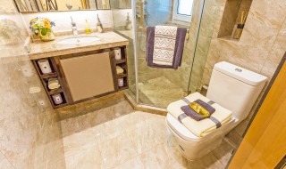 小卫生间淋浴房装修技巧有哪些 小卫生间淋浴房装修技巧有哪些图片