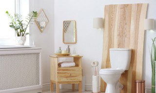 卫生间吊顶为什么会有异味（卫生间吊顶里面为什么会臭）