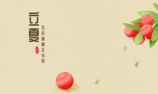 立夏过后还能种植什么菜 立夏还能种菜吗