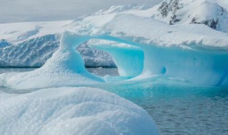 南极浮冰的味道是什么味的 南极上的浮冰是什么味道的
