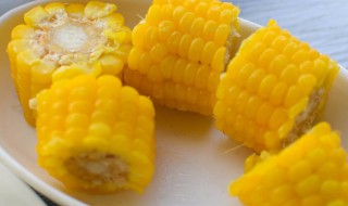 立夏还能种玉米吗（立夏可以种玉米吗）