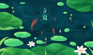 过了立夏种什么最合适（立夏适宜做什么）