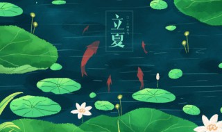 立夏能种露地丝瓜吗（立夏还能种丝瓜吗）