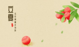 立夏的五种习俗（关于立夏的风俗有哪些）