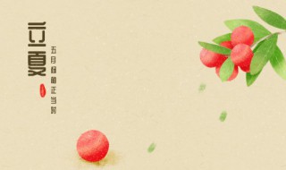 过了立夏还能种植什么（立夏之后可以种什么）