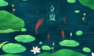 立夏种花好吗 立夏种花生可以吗