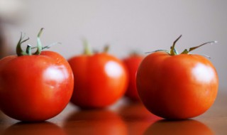 刚立夏适合种什么菜（刚立秋适合种什么菜）