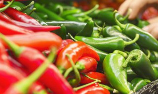 北方立夏种什么最合适 立夏应该种什么