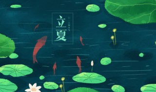 立夏这天可以种什么菜 立冬了可以种什么菜