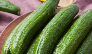 立夏节气能种什么菜（立夏季节种什么菜）