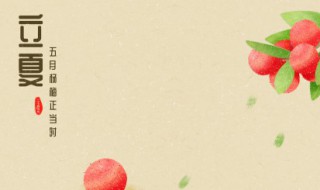 立夏种啥菜（立夏节气种什么菜好）