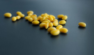 过立夏能不能种大豆(立夏可以种土豆吗)