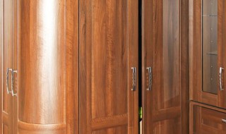 实木衣柜的选购技巧有哪些（实木衣柜用什么实木最好）