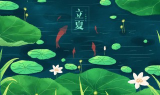 立夏后多久种辣椒(夏辣椒种植时间)