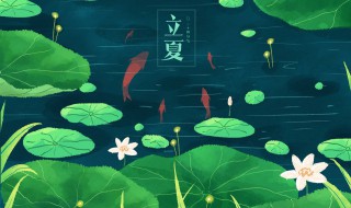 立夏之后什么时候开始种植蔬菜 夏至后可以种植什么蔬菜