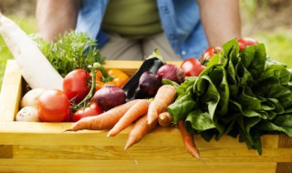 立夏过后可以种植什么蔬菜 立秋后可以种植哪些蔬菜