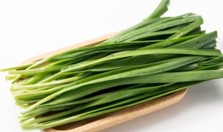 立夏之后能不能种韭菜（夏季种韭菜可以吗）