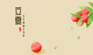 立夏节气种什么作物 夏至节气种什么农作物