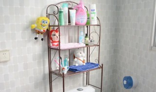 卫生间置物架选购有什么方法（卫生间置物架去哪里买）