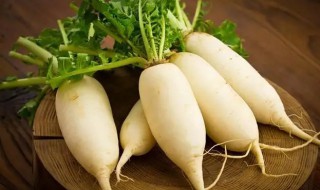 立夏过了可以种萝卜吗（夏天能不能种萝卜）