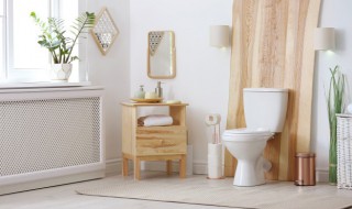 卫生间吊顶有异味怎么办 吊顶里面的异味怎么解决