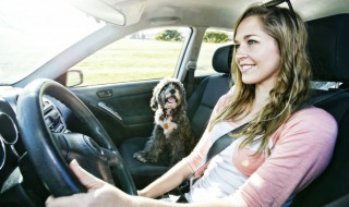 车窗怎么升降 驾驶室车窗怎么升降