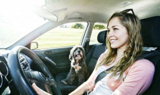 汽车窗户怎么开（汽车窗户怎么开噪音小）