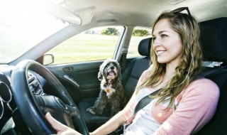 车窗一键升降怎么设置（crv车窗一键升降怎么设置）