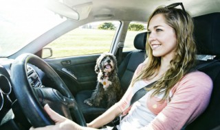 车窗装饰条怎么安装（汽车窗装饰条怎么安装）