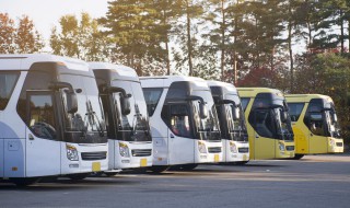 车窗日期怎么看 车窗日期怎么看点在后面