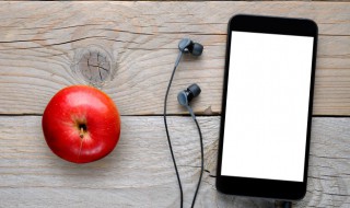 苹果手机忘记密码怎么刷机 苹果手机忘记密码怎么刷机 方法