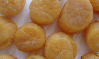 干贝的保质期限是多久 干贝保质期一般多久