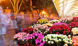 外出旅游家里花怎么办 外出旅行家里的花怎么办