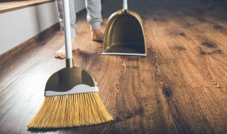 怎么去除家里宠物异味 家有宠物如何去除异味