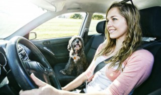如何防止老鼠进入汽车发动机仓（汽车发动机仓进老鼠的简单办法）