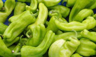 青椒鸡蛋饼怎么炒好吃 青椒鸡蛋炒饼是怎么做的