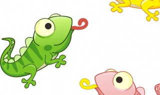 家里有璧虎怎么办(家中有壁虎是怎么回事)