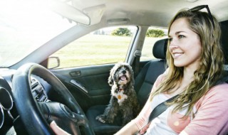 一键升降车窗怎么安装(车子车窗一键升降怎么安装的)