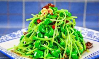 豆苗凉拌怎么做好吃窍门 豆苗凉拌怎么做好吃