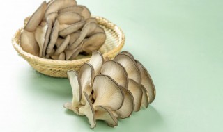 蘑菇怎么放保鲜 蘑菇怎么样保存