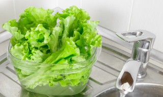 凉拌生菜怎么做好吃 凉拌生菜怎么做