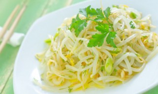 怎么样生豆芽 怎么样生豆芽不长根