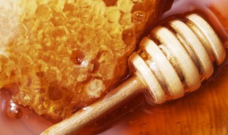 蜂蜜怎么存放 蜂蜜怎么存放?