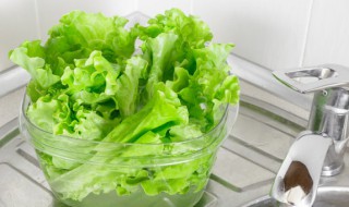 生菜怎么凉拌才好吃减肥 生菜怎么凉拌才好吃