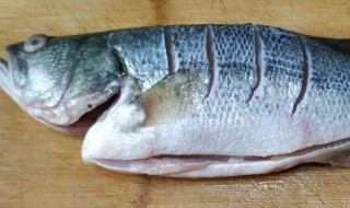收拾好的鲈鱼怎么保存 鲈鱼怎么存放