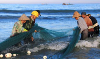 鲫鱼应该怎么保存 鲫鱼怎么保鲜存放