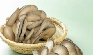 蘑菇怎么保鲜储藏 蘑菇怎么保鲜