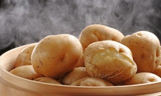 夏天土豆怎么存放 夏季家里土豆怎样储存